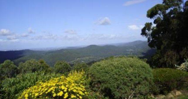 黄金海岸Hillside Country Retreat住宿加早餐旅馆 外观 照片